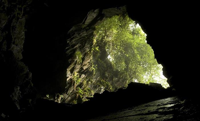Looking up to daylight on a Corris Mine Explorers visit